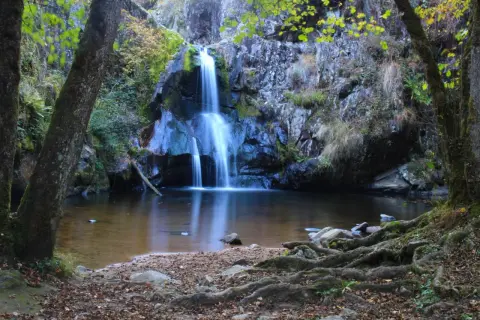 La cascade du Gour Saillant, un spectacle naturel d'eau vive tombant sur des rochers sombres, entourée de verdure et de racines noueuses.