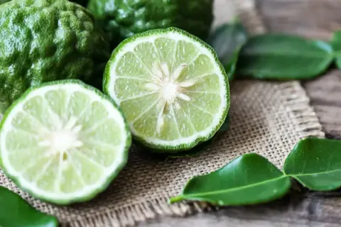 Zielone, pomarszczone owoce i przekrojone na pół limonki, z liśćmi na płótnie. Czuć, jak pachnie bergamotka.