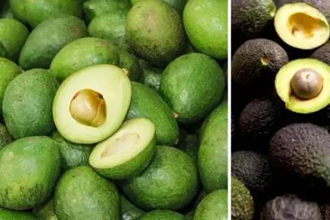 Jakie awokado wybrać, aby uniknąć rozczarowania w guacamole?