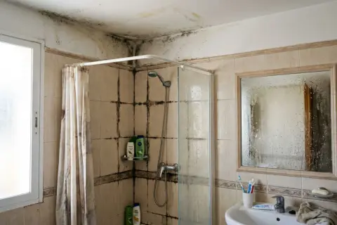 Baño con moho negro en techo y pared contigua ducha. La ducha tiene cortina y mampara de cristal.