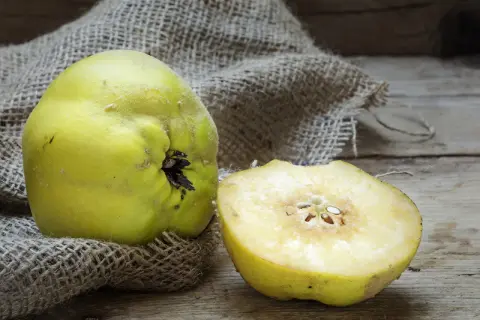 Eine ganze und eine halbe Quitte liegen auf grobem Leinen. Die Frucht ist gelbgrün und leicht flaumig. Man fragt sich, wie schmeckt quitte wohl?