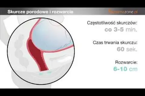 Masaż szyjki macicy przed porodem: czas trwania i korzyści