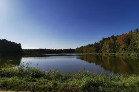 Spokojne jezioro otoczone jesiennym lasem, z widocznym brzegiem porośniętym trawą.