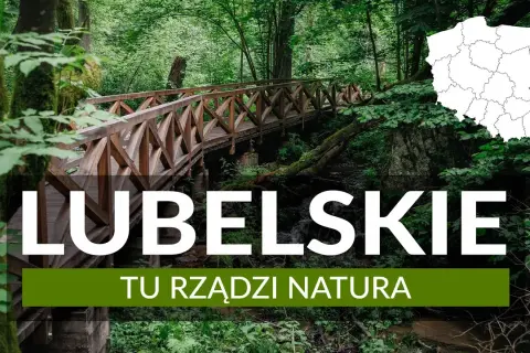 Odkryj Lubelskie: Co zwiedzić? Od zabytków po dziką naturę!