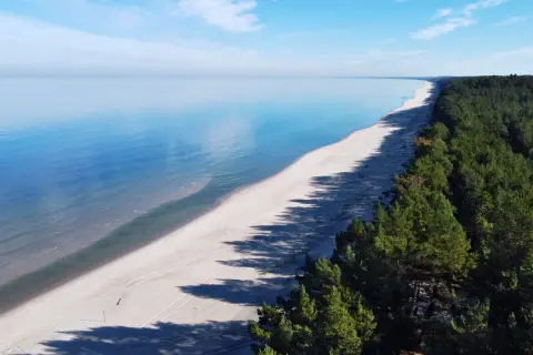 Plaża i las sosnowy nad spokojnym Zalewem Wiślanym w słoneczny dzień.
