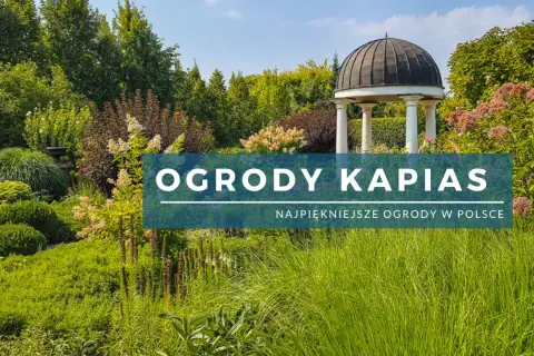 Ogrody Kapias – piękne, zielone zakątki z altaną. Sprawdź aktualne ogrody kapias cena biletu i zaplanuj wizytę!
