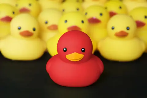Un patito feo rojo destaca entre una multitud de patitos amarillos, todos listos para un baño.