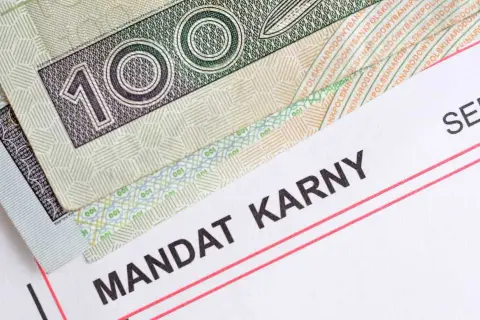 Polskie banknoty i dokument "Mandat Karny" sugerują, że może chodzić o taryfikator mandatów Niemcy, ale to polskie pieniądze.