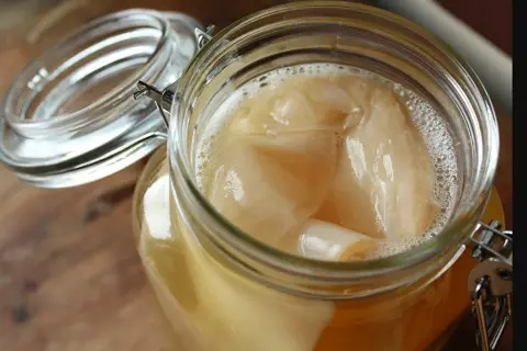 Grzybek kombucha (SCOBY): Co to jest? Rozpoznaj zdrową kulturę i pleśń!