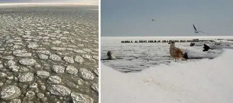 Czy Bałtyk zamarza? Fakty, historia i wpływ zmian klimatu