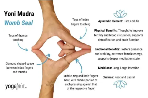 Manos formando el Yoni Mudra, "Sello del Útero". Dedos índices y pulgares unidos, creando un espacio romboidal. Beneficios para fertilidad y meditación.