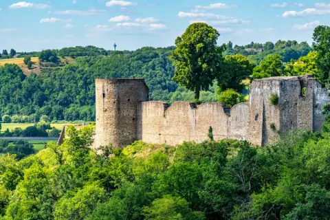 Ruinen der Burg Blankenberg thronen auf einem Hügel, umgeben von üppigem Grün. Ein historisches Zeugnis der Stadt Blankenberg.