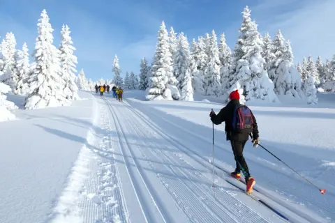 Skilanglauf in Deutschland: Eine Gruppe Langläufer genießt die verschneite Winterlandschaft mit tiefen Spuren im Schnee.