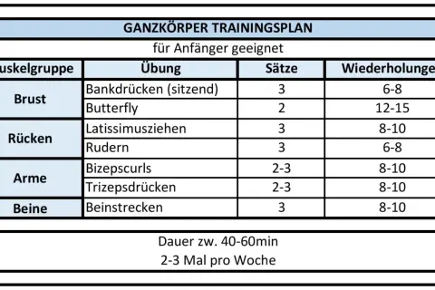 Ganzkörper Trainingsplan für Anfänger: Übungen für Brust, Rücken, Arme und Beine mit Sätzen und Wiederholungen. Ideal für Krafttraining.