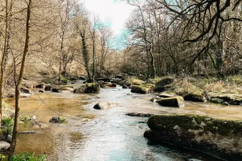 Un ruisseau serpente à travers un paysage rocheux, évoquant le chaos du gouet. Les arbres nus bordent la rive, leurs branches s'étendant vers le ciel.