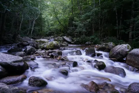 L'eau vive serpente entre les rochers moussus des gorges de la Carança, dans une forêt dense et ombragée.