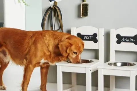 Stojak na miski dla psa DIY: Zbuduj idealny dla zdrowia pupila!