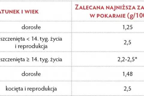 Objawy niedoboru wapnia u psa: Czy rozpoznasz sygnały alarmowe?