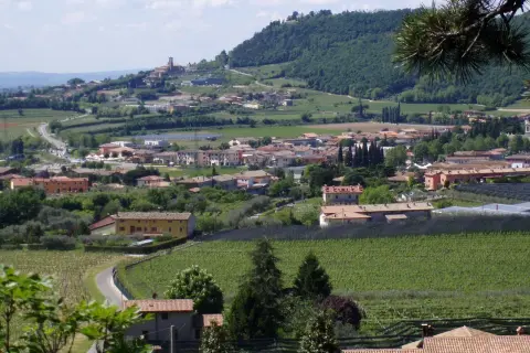 Panoramica di Affi, con case dai tetti rossi, vigneti e colline verdi. Un luogo incantevole da esplorare.