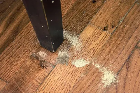 Segni di **tarli parquet**: polvere fine e detriti vicino alla gamba di un mobile scuro su un pavimento in legno.