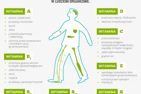 Ciche sygnały ciała: objawy niedoboru witamin B i plan działania