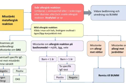 Flödesschema för misstänkt matallergisk reaktion hos barn. Utredning av allergi, inklusive IgE-test, för att fastställa allergi.