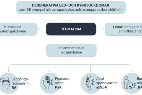 Diagram som visar olika reumatiska sjukdomar, inklusive degenerativa, inflammatoriska och systemiska tillstånd, samt smärttillstånd.