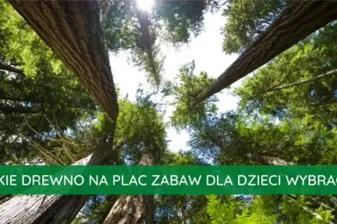 Jakie drewno na plac zabaw? Wybierz najtrwalsze i bezpieczne opcje