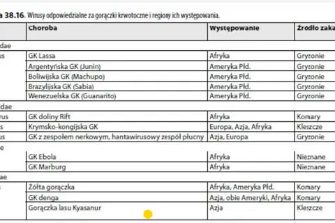 Tabela przedstawia wirusy odpowiedzialne za gorączki krwotoczne, w tym wirus Marburg, jego występowanie w Afryce i nieznane źródło zakażenia.