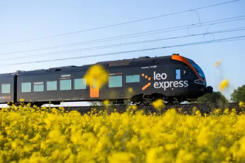 Czarny pociąg express Leo Express mija pole kwitnącego rzepaku.