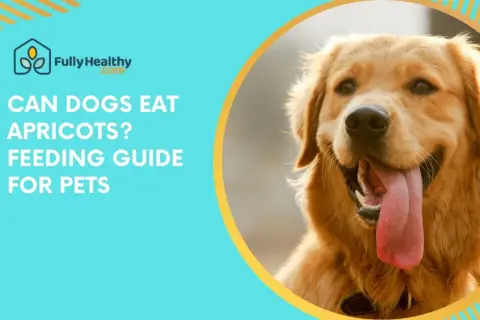 A happy golden retriever's face is shown, with text asking "Can dogs eat apricots?".
