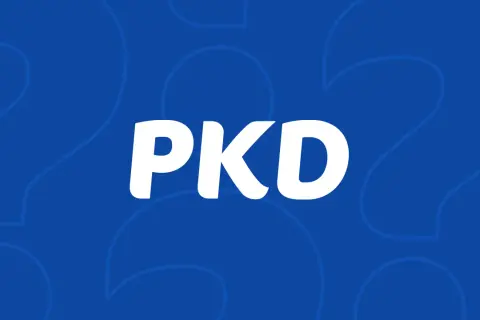 Jak dodać PKD przez internet - uniknij błędów i zrób to łatwo
