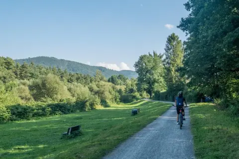Rowerzystka na trasie rowerowej Ustroń Wisła, otoczonej zielenią i górami.