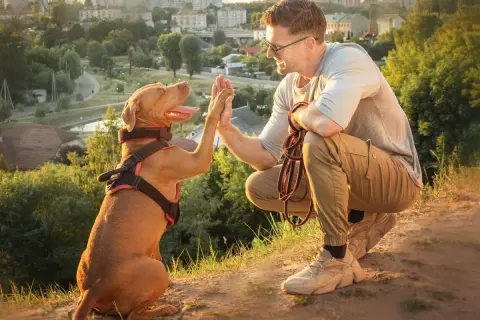 Un éducateur canin comportementaliste félicite son chien pour un bon comportement. Ils sont en extérieur, avec une ville en arrière-plan.