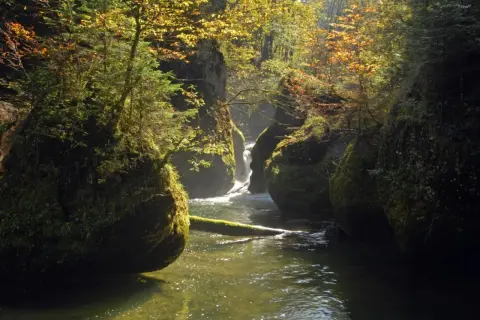 Ein versteckter isny wasserfall, umgeben von moosbewachsenen Felsen und herbstlichem Laub, fließt durch eine schattige Schlucht.