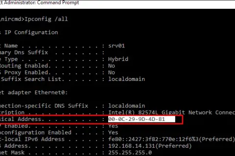Jak znaleźć adres MAC karty sieciowej w systemie Windows 10? metody