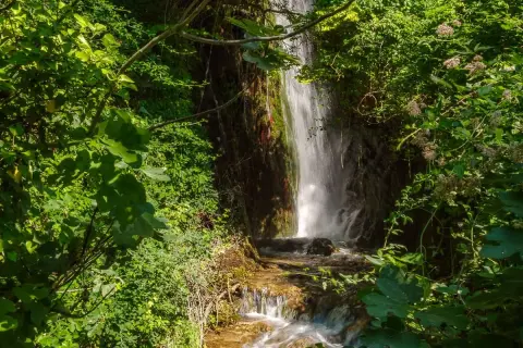 Cascate del Menotre, un'oasi verde dove l'acqua scende tra rocce e vegetazione lussureggiante, creando un paesaggio incantevole.