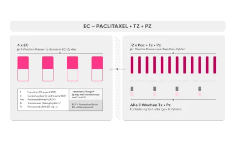 Schema zur Behandlung mit EC, Paclitaxel, Trastuzumab und Pertuzumab. Zeigt neoadjuvante und adjuvante Therapiephasen.