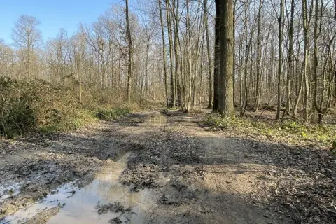 Enduro w Île-de-France: Najlepsze trasy i porady dla motocyklistów