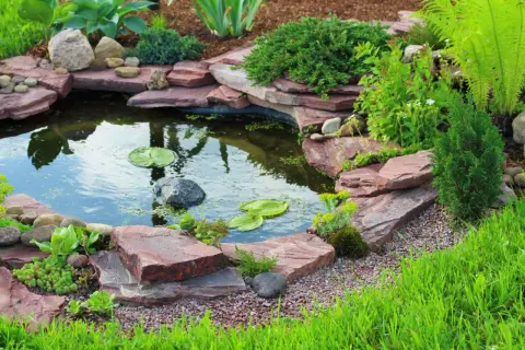 Beautiful backyard pond ideas with layered red rocks, lush greenery, and water lilies.