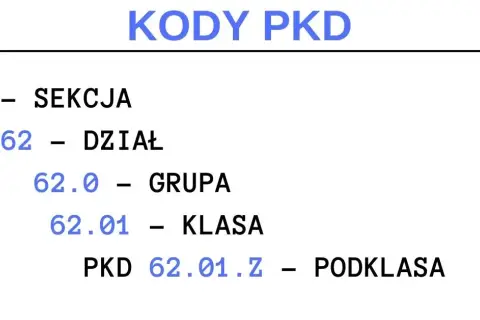 Kto nadaje numer pkd i jak uniknąć błędów przy rejestracji?