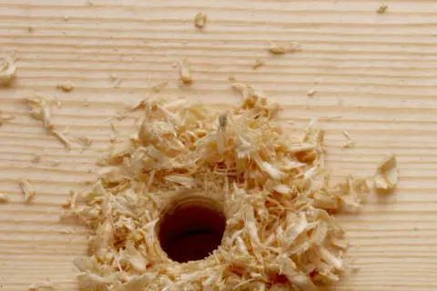Sciure de bois autour d'un trou fraîchement percé dans une planche de pin. Il faudra reboucher ce trou bois pour repercer ailleurs.