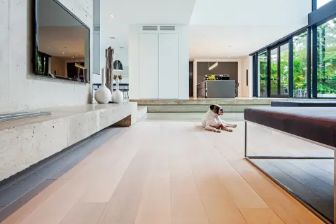 Chien se prélassant sur un parquet clair, profitant de la chaleur douce du chauffage au sol hydraulique dans un salon moderne.