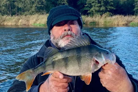 Ein Angler hält stolz einen schönen Barsch in den Händen. Das Wasser des Barther Bodden glitzert im Hintergrund.