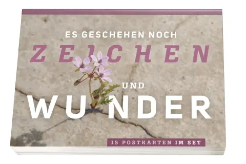 Ein zartes Blümchen bricht durch Beton. "Es geschehen noch Zeichen und Wunder", steht darauf. 15 Postkarten im Set.