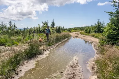 Beskid Śląski atrakcje – odkryj najciekawsze miejsca i przygody