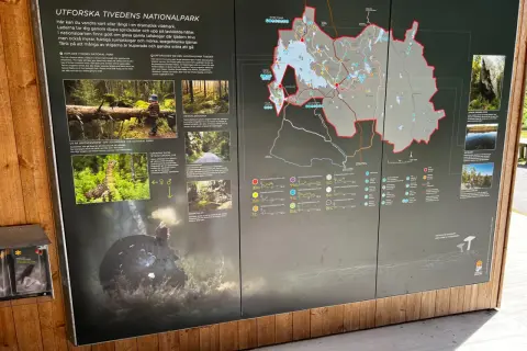 Utforska Tivedens nationalpark: vandringsleder genom djupa sprickdalar, lavklädda hällar, gamla tallskogar, myrar och tjärnar.