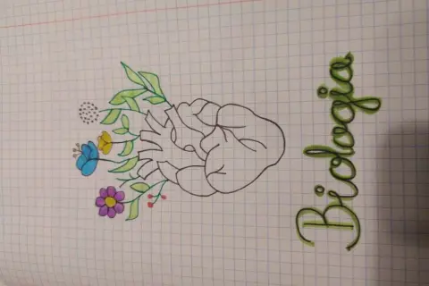 Jak ozdobić zeszyt do biologii, aby był funkcjonalny i atrakcyjny