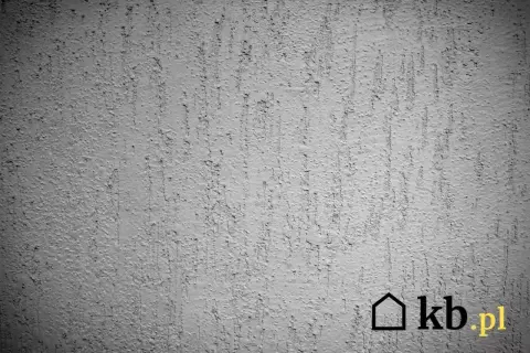 Szara ściana z fakturą tynku kornik, imitującą ślady po żerowaniu owadów. Widoczny znak wodny kb.pl.