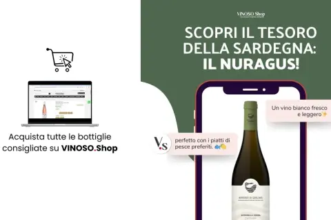 Scopri il tesoro della Sardegna: il Nuragus di Cagliari, un vino bianco fresco e leggero, perfetto con il pesce. Acquista su VINOSO.Shop.